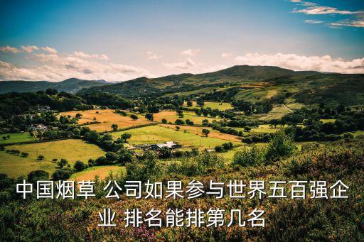 中國煙草 公司如果參與世界五百強(qiáng)企業(yè) 排名能排第幾名