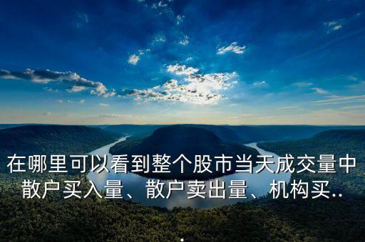 在哪里可以看到整個股市當天成交量中散戶買入量、散戶賣出量、機構買...