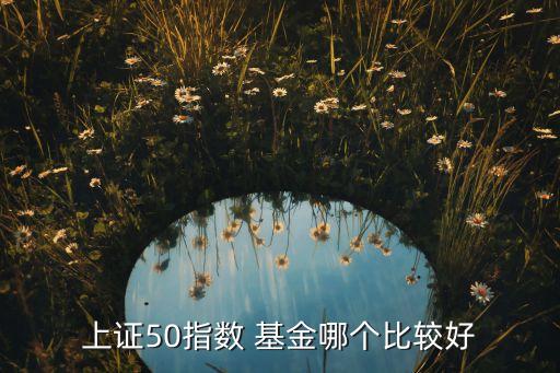 上證50指數(shù) 基金哪個(gè)比較好