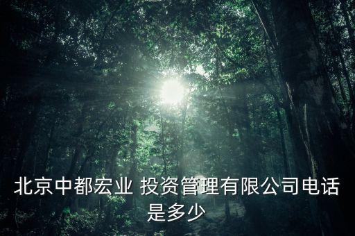 北京中都宏業(yè) 投資管理有限公司電話是多少