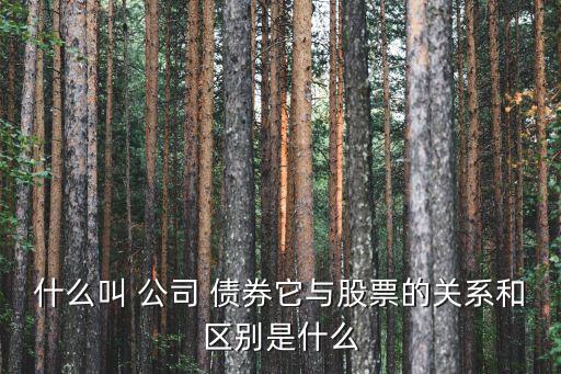 什么叫 公司 債券它與股票的關(guān)系和區(qū)別是什么