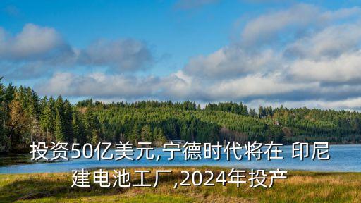 投資50億美元,寧德時代將在 印尼建電池工廠,2024年投產(chǎn)