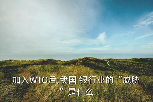 加入WTO后,我國(guó) 銀行業(yè)的“威脅”是什么