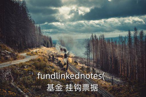 fundlinkednotes( 基金 掛鉤票據(jù)