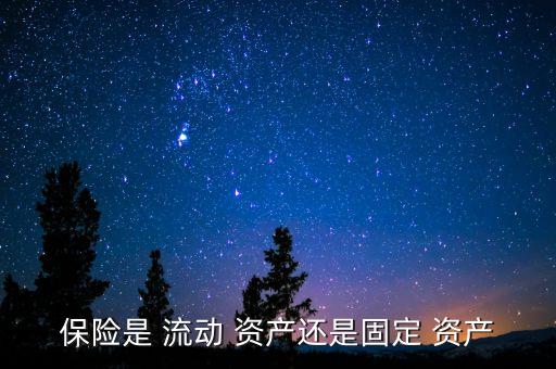 保險是 流動 資產(chǎn)還是固定 資產(chǎn)