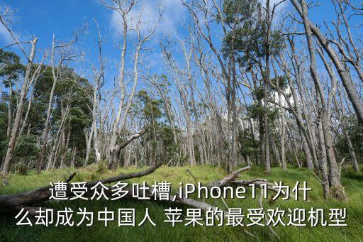 遭受眾多吐槽,iPhone11為什么卻成為中國人 蘋果的最受歡迎機(jī)型