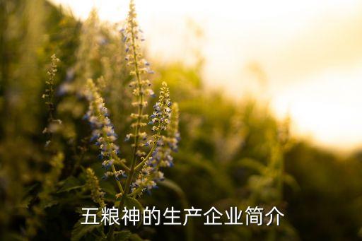  五糧神的生產(chǎn)企業(yè)簡(jiǎn)介