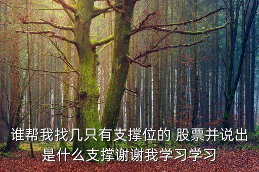 誰幫我找?guī)字挥兄挝坏?股票并說出是什么支撐謝謝我學習學習