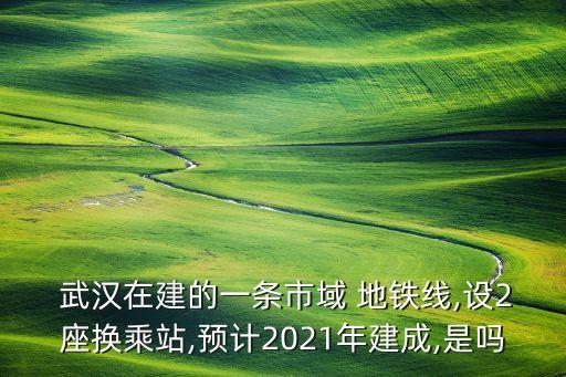  武漢在建的一條市域 地鐵線,設2座換乘站,預計2021年建成,是嗎