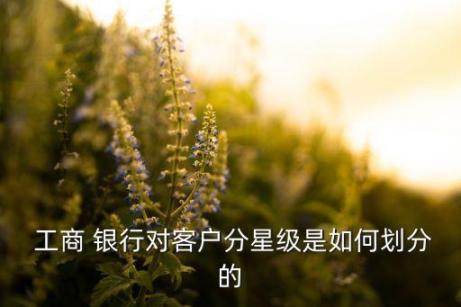  工商 銀行對(duì)客戶分星級(jí)是如何劃分的