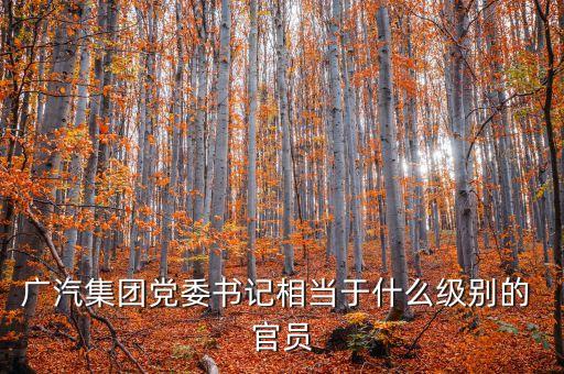 廣汽集團黨委書記相當(dāng)于什么級別的 官員