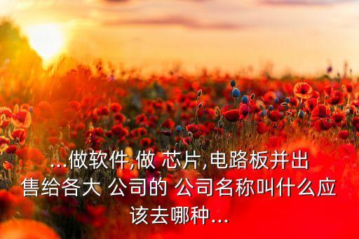 ...做軟件,做 芯片,電路板并出售給各大 公司的 公司名稱叫什么應該去哪種...