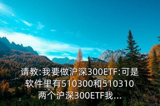 請教:我要做滬深300ETF:可是軟件里有510300和510310兩個(gè)滬深300ETF我...