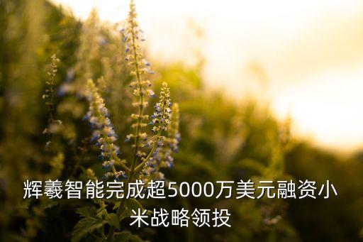 輝羲智能完成超5000萬美元融資小米戰(zhàn)略領(lǐng)投