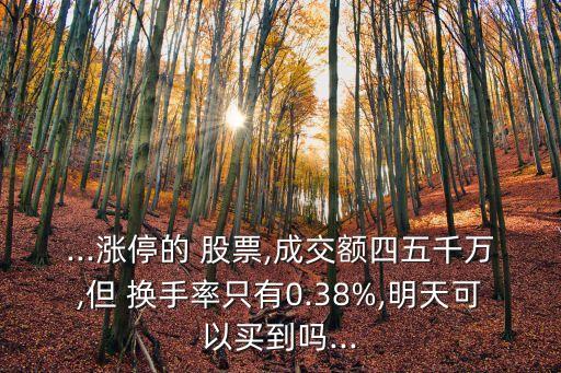 ...漲停的 股票,成交額四五千萬,但 換手率只有0.38%,明天可以買到嗎...