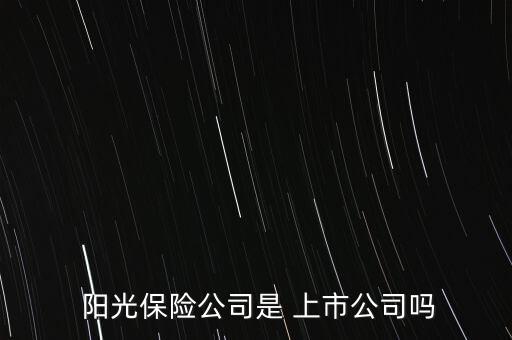  陽光保險(xiǎn)公司是 上市公司嗎