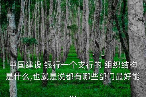 中國(guó)建設(shè) 銀行一個(gè)支行的 組織結(jié)構(gòu)是什么,也就是說(shuō)都有哪些部門最好能...