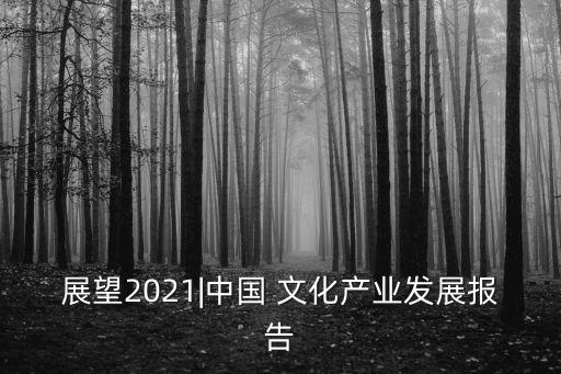 展望2021|中國(guó) 文化產(chǎn)業(yè)發(fā)展報(bào)告