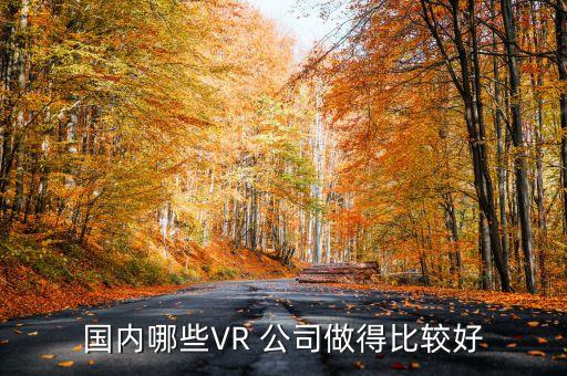 國內(nèi)哪些VR 公司做得比較好