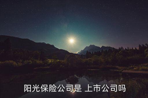  陽光保險(xiǎn)公司是 上市公司嗎