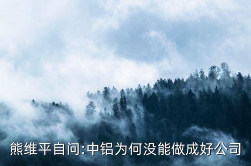 熊維平自問(wèn):中鋁為何沒(méi)能做成好公司