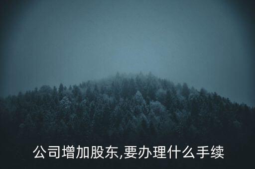 公司注冊(cè)后怎樣加入新的股權(quán)