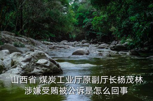  山西省 煤炭工業(yè)廳原副廳長(zhǎng)楊茂林涉嫌受賄被公訴是怎么回事