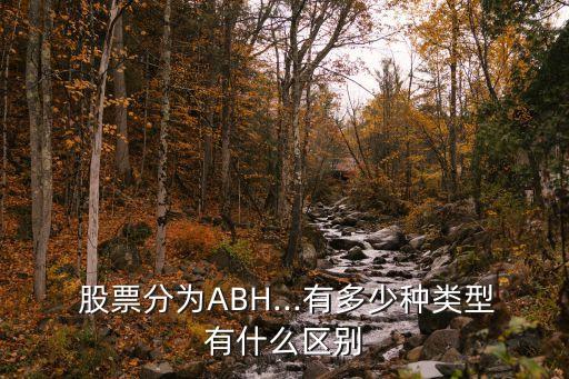  股票分為ABH...有多少種類型有什么區(qū)別