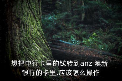 想把中行卡里的錢轉(zhuǎn)到anz 澳新 銀行的卡里,應該怎么操作