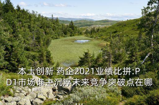 本土創(chuàng)新 藥企2021業(yè)績比拼:PD1市場誰主沉浮未來競爭突破點(diǎn)在哪...