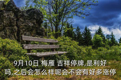 9月10日 梅雁 吉祥停牌,是利好嗎,之后會(huì)怎么樣呢會(huì)不會(huì)有好多漲停