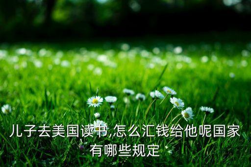 兒子去美國讀書,怎么匯錢給他呢國家有哪些規(guī)定