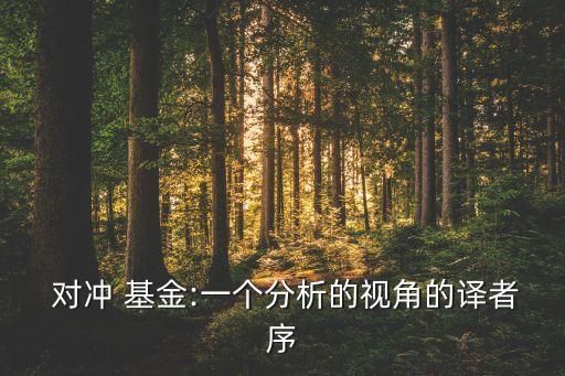  對(duì)沖 基金:一個(gè)分析的視角的譯者序