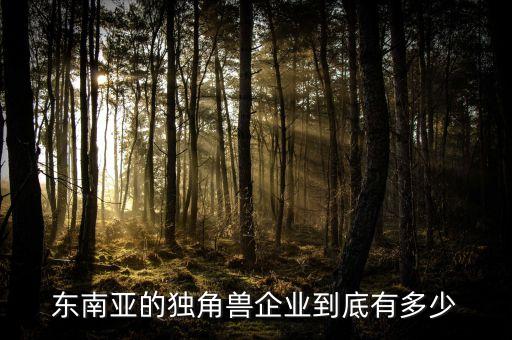 東南亞的獨(dú)角獸企業(yè)到底有多少