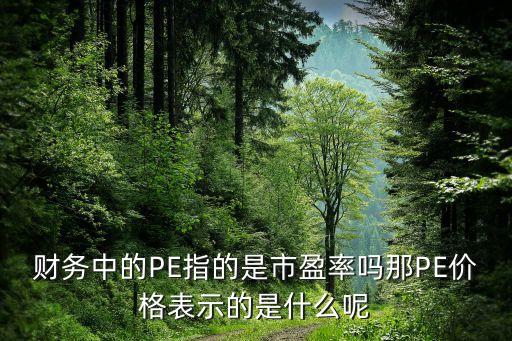 財務中的PE指的是市盈率嗎那PE價格表示的是什么呢