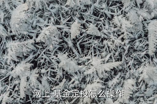 網(wǎng)上 基金定投怎么操作