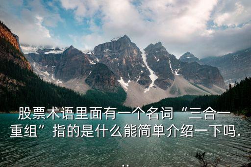  股票術(shù)語里面有一個(gè)名詞“三合一 重組”指的是什么能簡單介紹一下嗎...