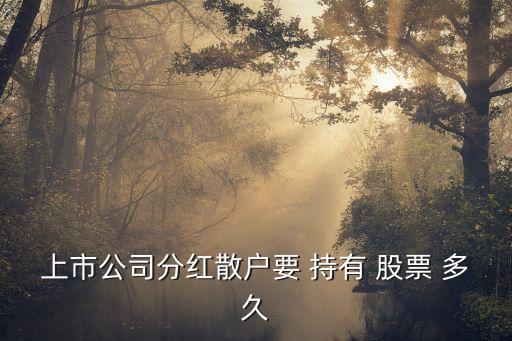 上市公司分紅散戶(hù)要 持有 股票 多久