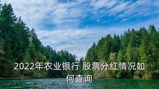 2022年農(nóng)業(yè)銀行 股票分紅情況如何查詢