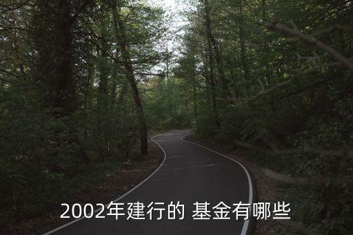 2002年建行的 基金有哪些