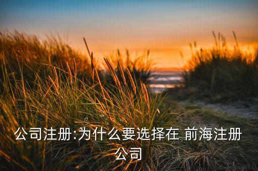 公司注冊(cè):為什么要選擇在 前海注冊(cè)公司