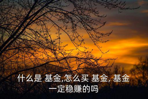 什么是 基金,怎么買(mǎi) 基金, 基金一定穩(wěn)賺的嗎