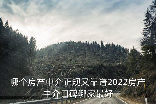 哪個(gè)房產(chǎn)中介正規(guī)又靠譜2022房產(chǎn)中介口碑哪家最好