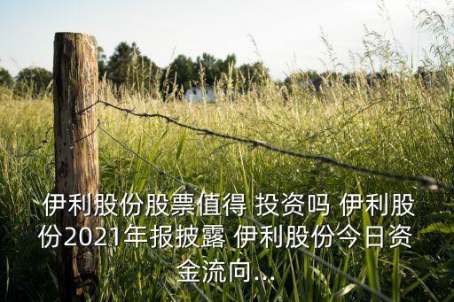  伊利股份股票值得 投資嗎 伊利股份2021年報披露 伊利股份今日資金流向...