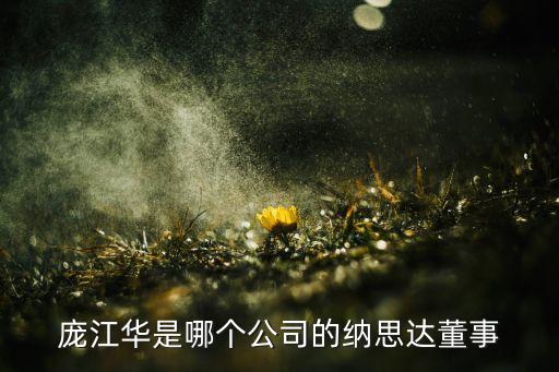 龐江華是哪個公司的納思達(dá)董事