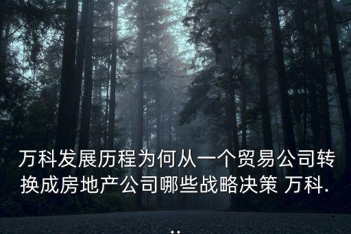 萬科集團商業(yè)計劃書