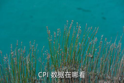 中國cpi季度數(shù)據(jù),2019年中國CPI數(shù)據(jù)