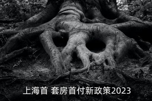  上海首 套房首付新政策2023