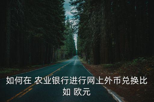 如何在 農(nóng)業(yè)銀行進(jìn)行網(wǎng)上外幣兌換比如 歐元