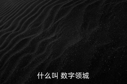 什么叫 數(shù)字領城